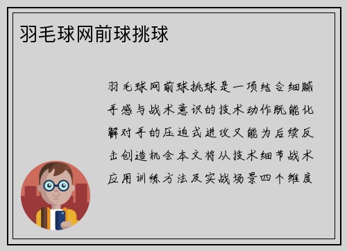羽毛球网前球挑球
